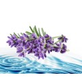 Lavender Floral Water